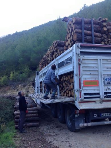 Універсальний самоскид SERIN 40 м3