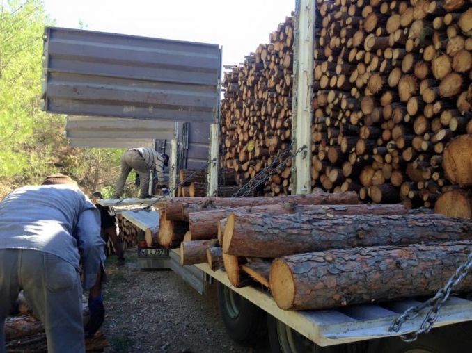Універсальний самоскид SERIN 40 м3